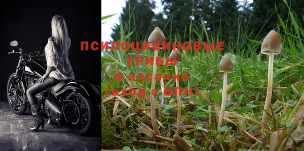 марки nbome Алексин