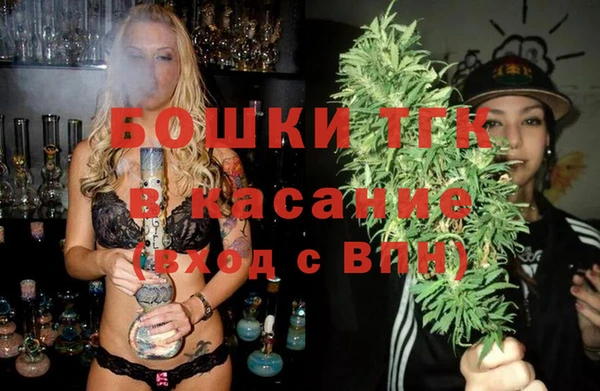 индика Алексеевка