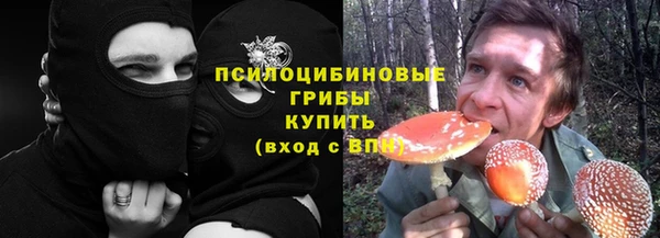 прущая мука Медвежьегорск