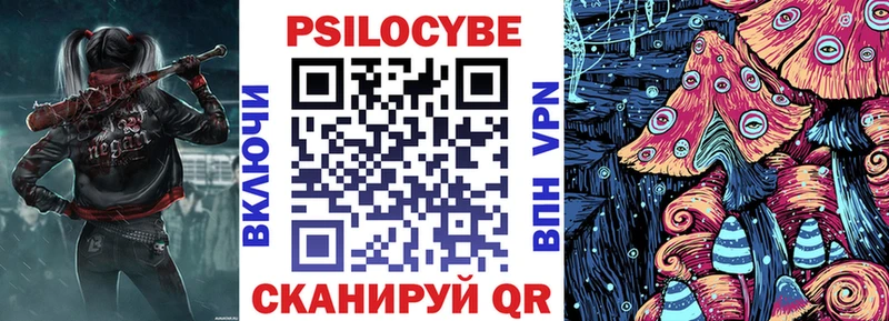 Купить где  Ленинск-Кузнецкий  Галлюциногенные грибы MAGIC MUSHROOMS 